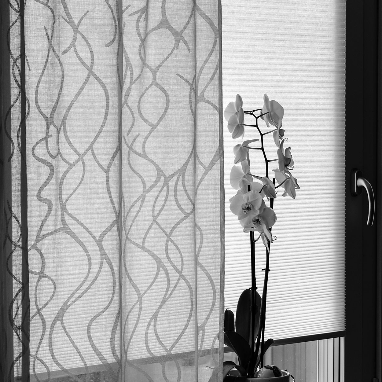Cam Balkon — Plise Sineklik — Yeni Mah.